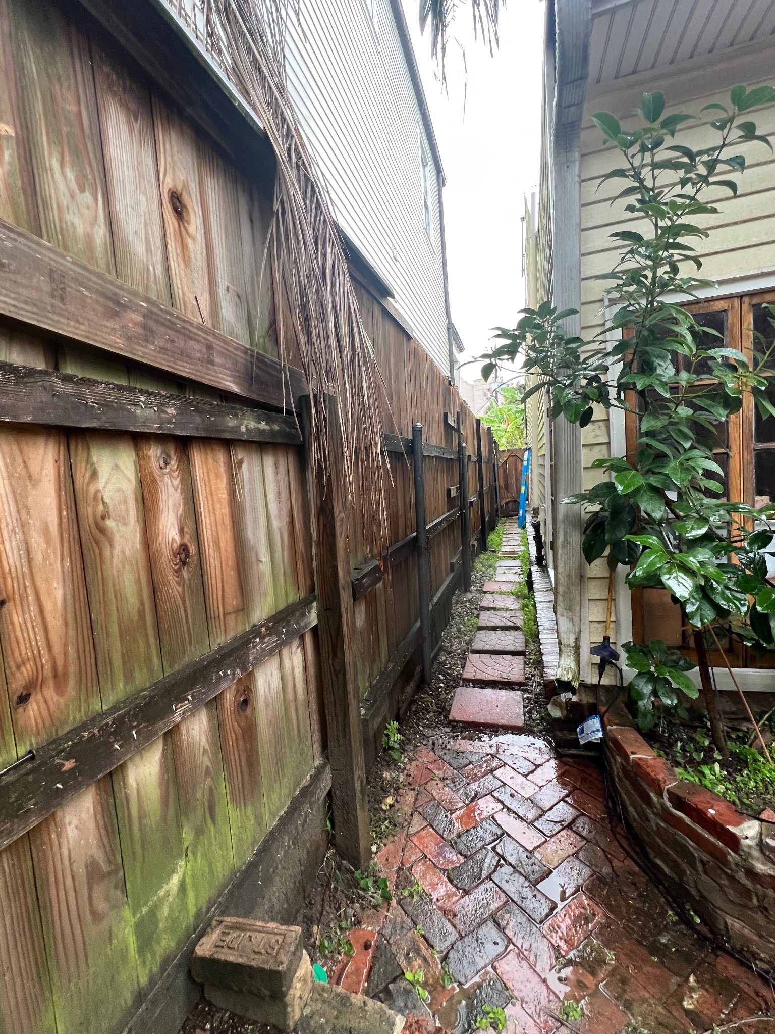 Cottage & Patio